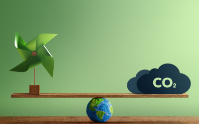 STUDIU REVEAL MARKETING RESEARCH: 55% dintre români sunt îngrijorați de efectele negative  ale emisiilor de carbon